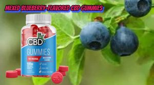 Blueberry-flavored CBD gummies 